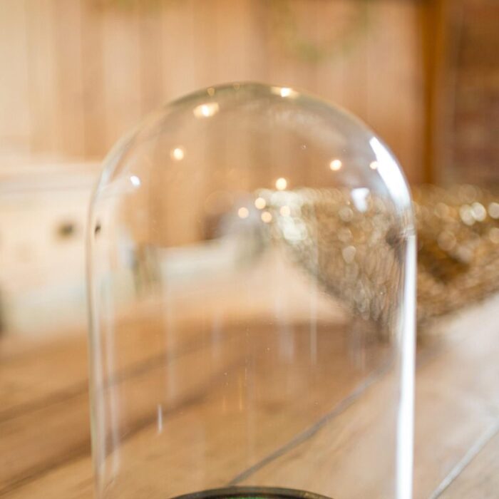 1880s small antique display dome 0717