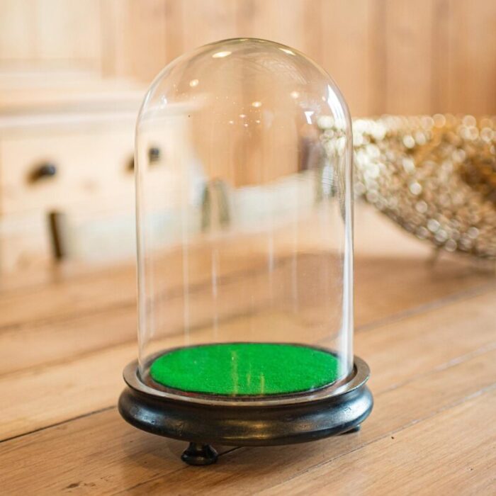 1880s small antique display dome 3035