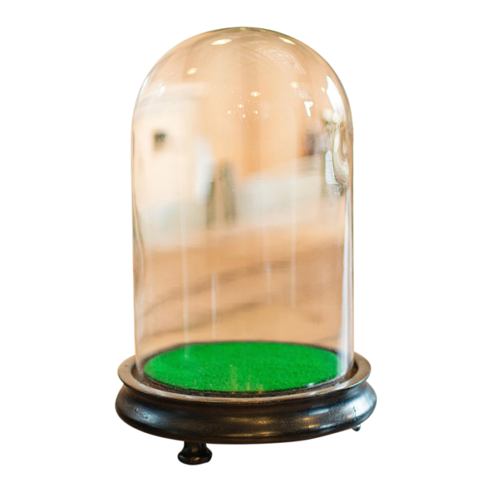 1880s small antique display dome 5121