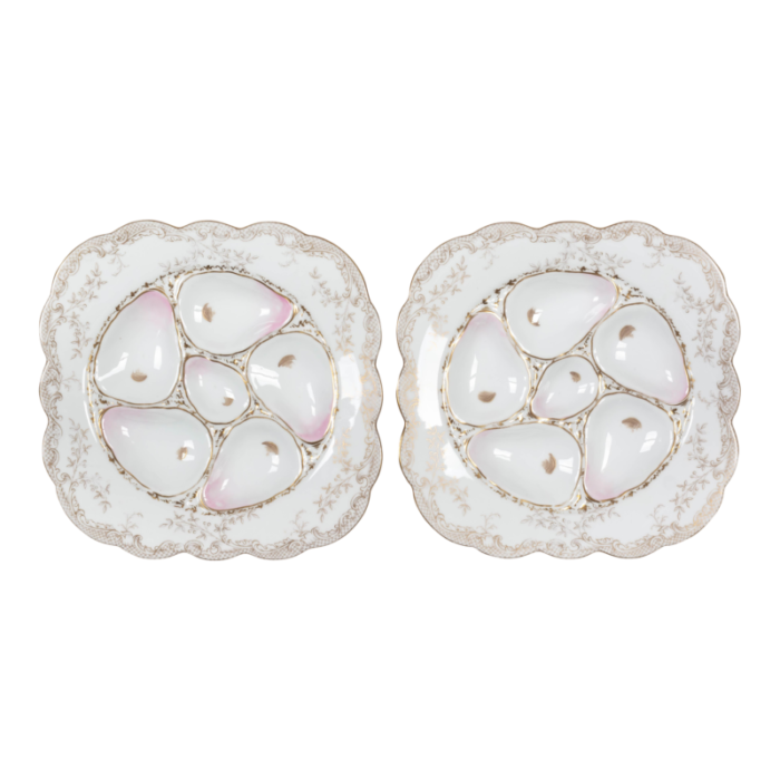 19th century wilhelm and graef porcelain oyster plate pair 8746