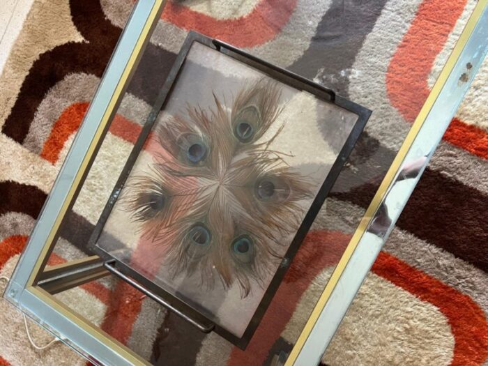 brass tray with encased peacock feathers 1930s 5