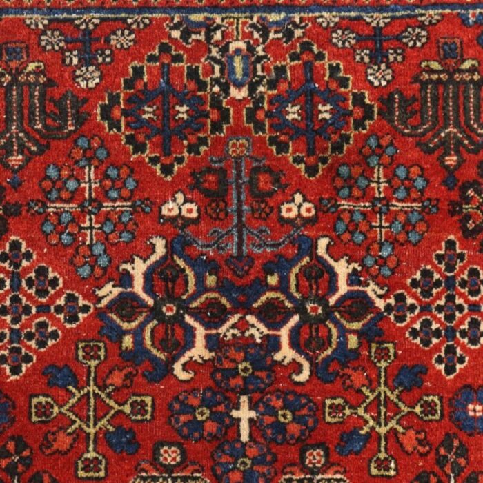 gioshagan rug in cotton wool thin knot middle east 4