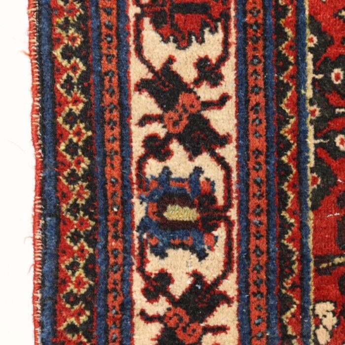 gioshagan rug in cotton wool thin knot middle east 6