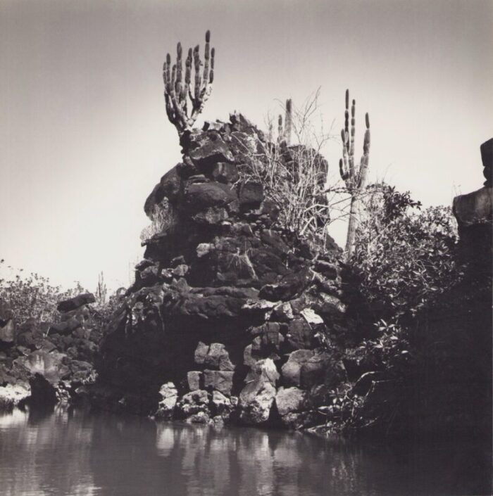 hanna seidel galapagos coast black and white photograph 1960s 2080