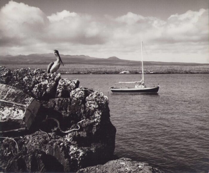 hanna seidel galapagos coast black and white photograph 1960s 2213