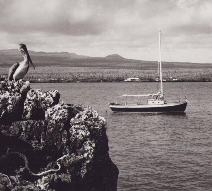 hanna seidel galapagos coast black and white photograph 1960s 3506