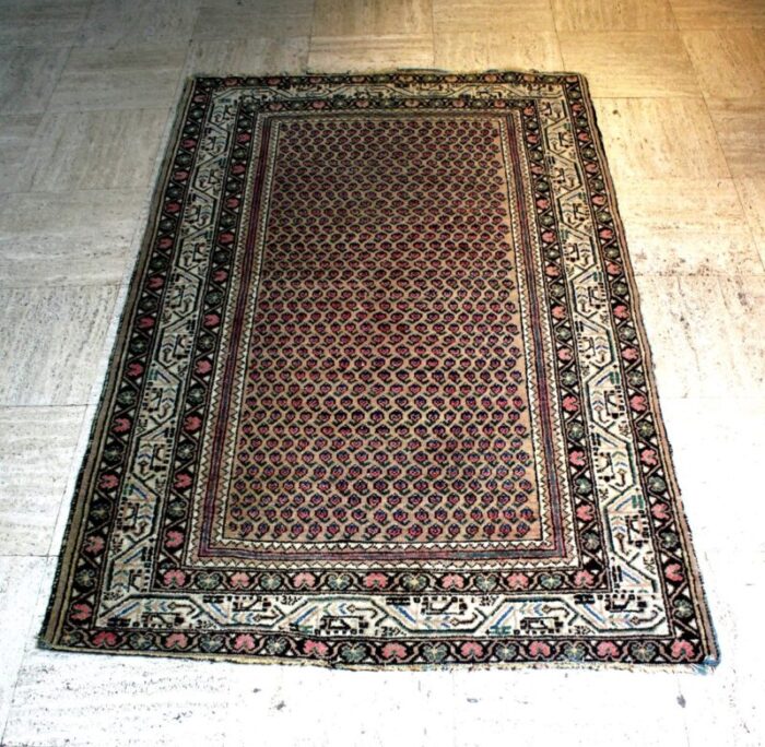 middle eastern sarough boteh mir rug 3