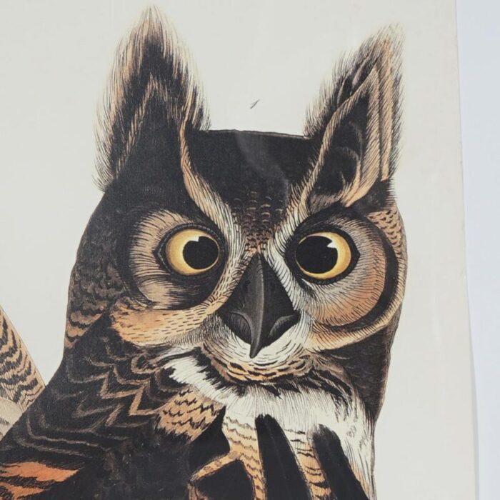 r havell double elephant folio audubon print of great horned owls c1999 0082