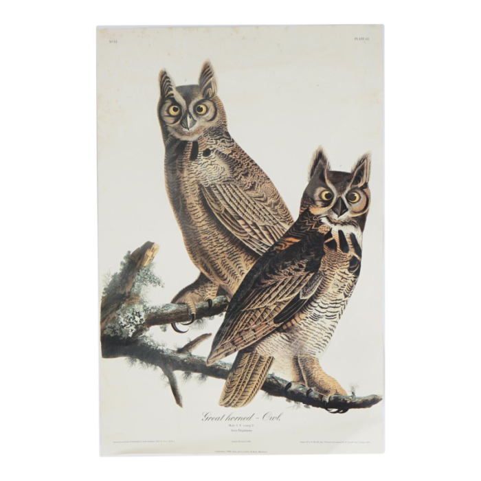 r havell double elephant folio audubon print of great horned owls c1999 4000