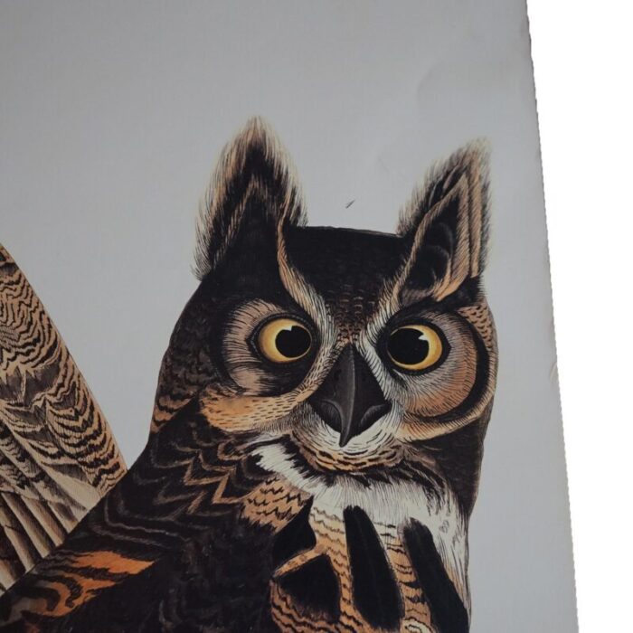 r havell double elephant folio audubon print of great horned owls c1999 9560