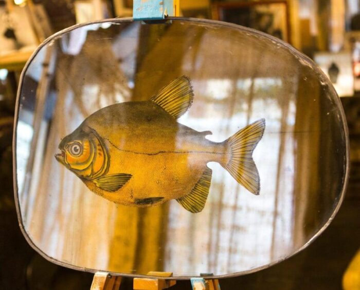 specchio swimming free fish mirror from unique mirrors 6102