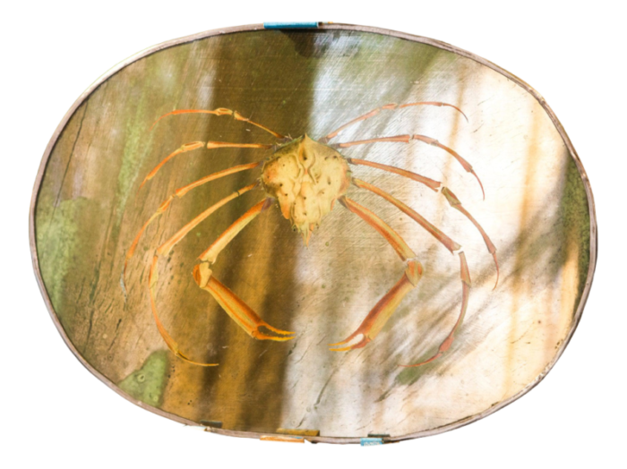 yellow crab mirror from unique mirrors 6493